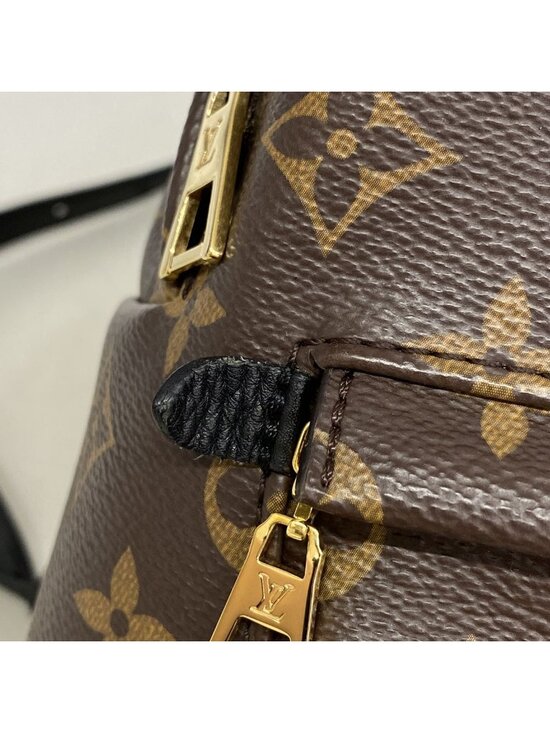 Louis Vuitton Backpack Monogram Palm Springs PM Brown main image 6